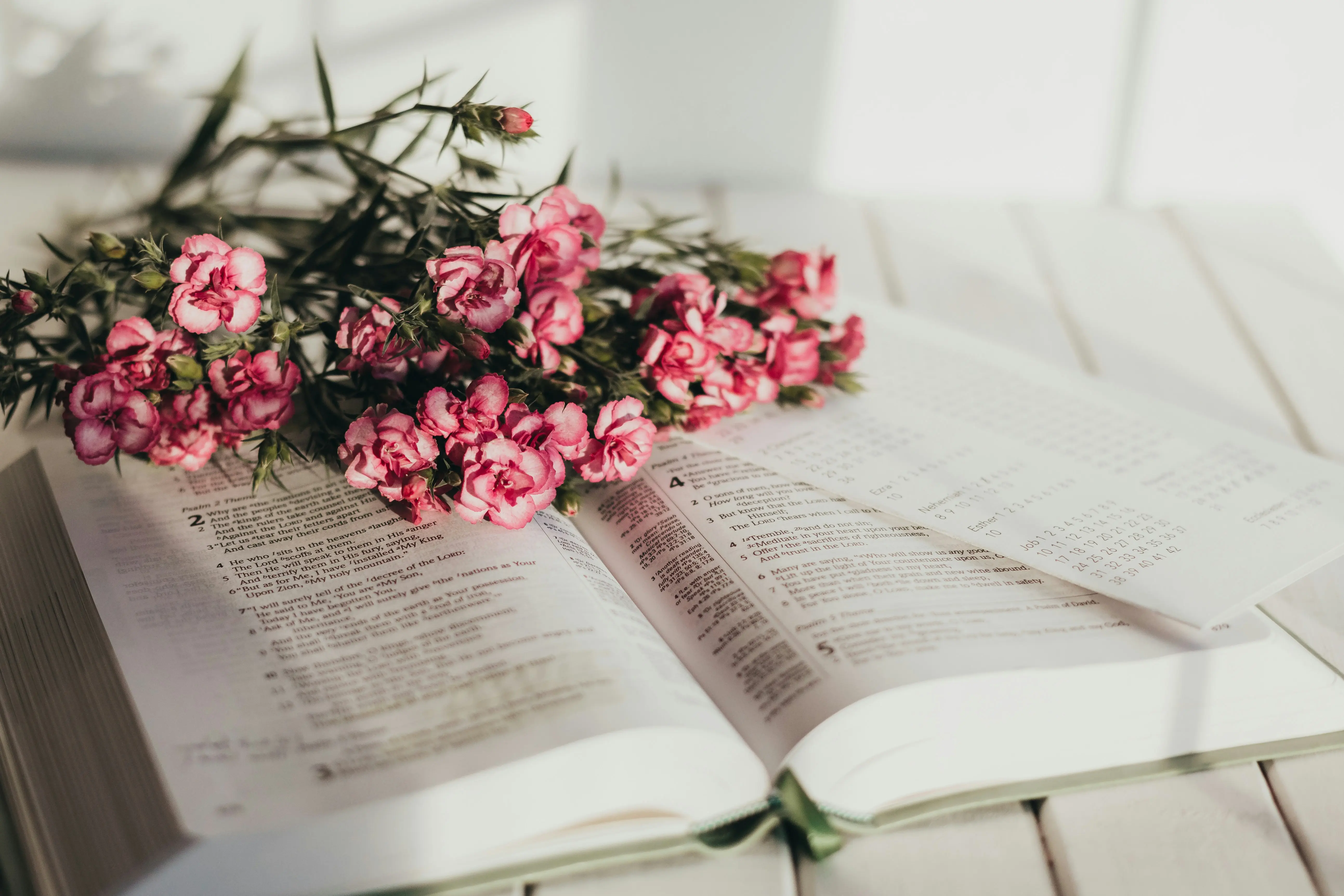 It Ends With Us Book Review: Colleen Hoover's Most Powerful Story Yet