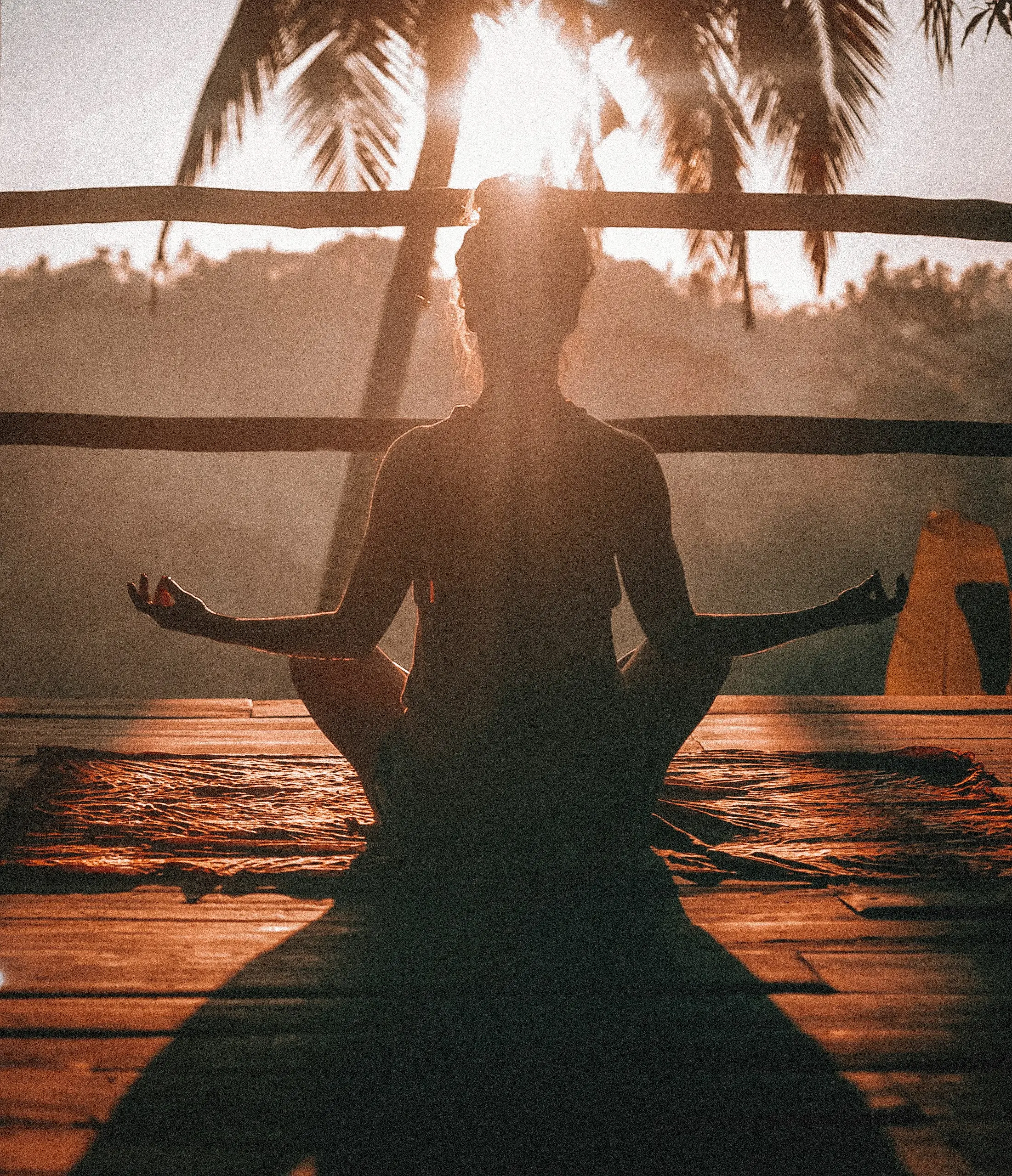 The Art of Mindful Living in Modern Times