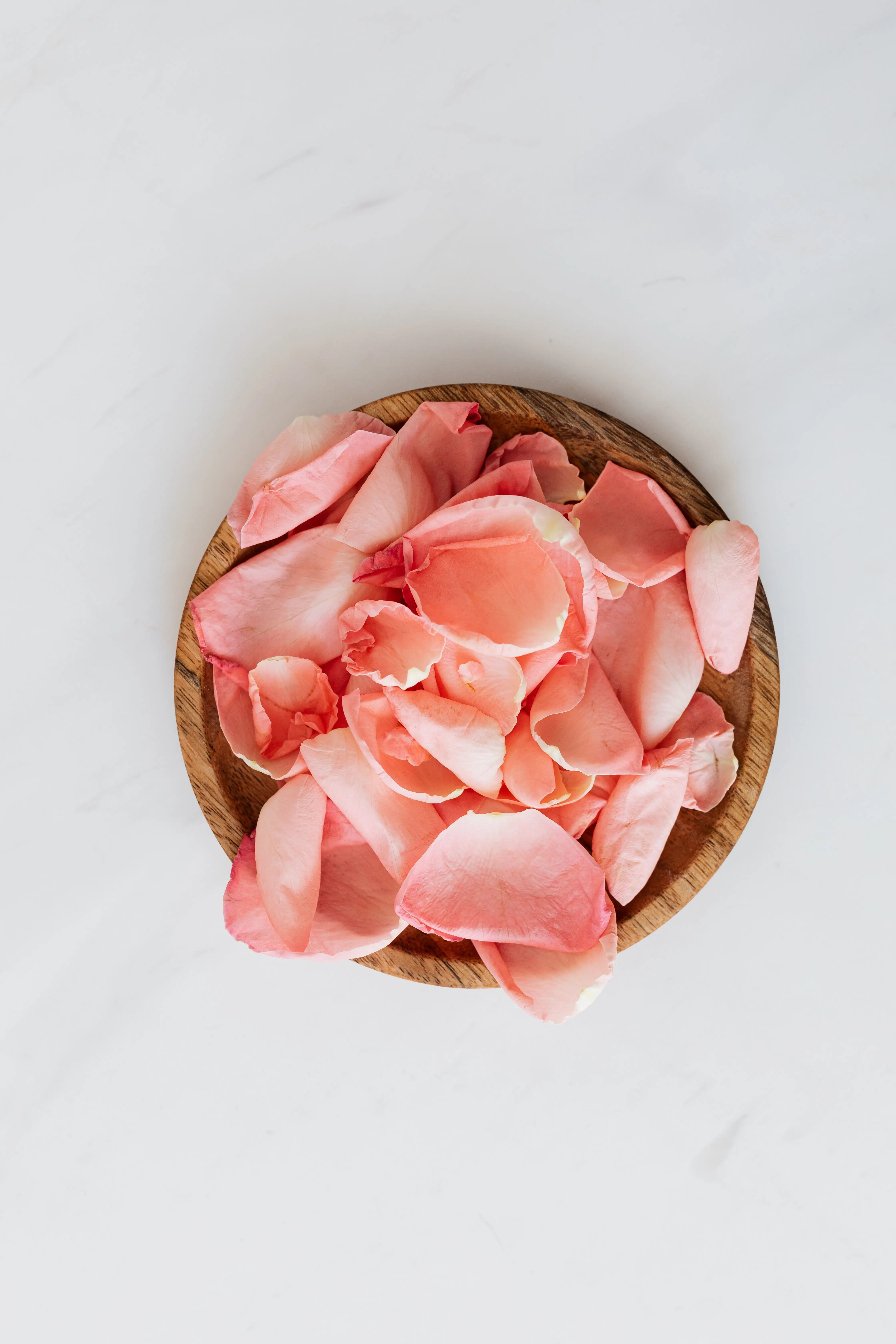 Rose water witch hazel toner for sensitive skin — pink rose petals on wooden board